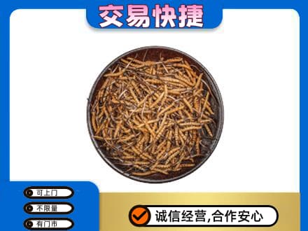 平顶山礼品回收虫草.jpg